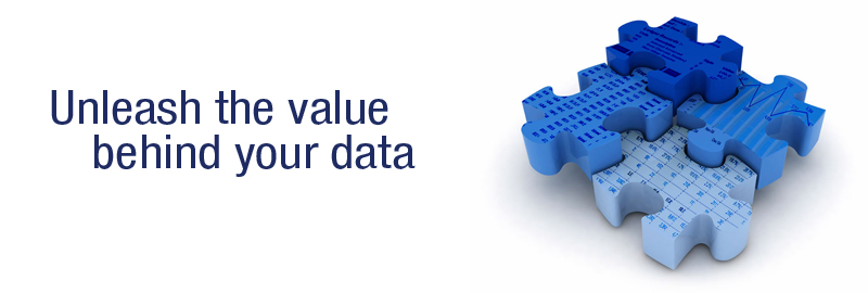 Unleash the Value in your Data